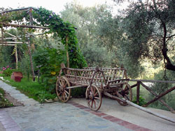 The Traditional Village